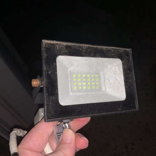 Led floodlight with green light and plug