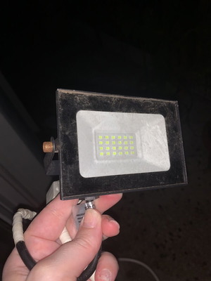 Led floodlight with green light and plug