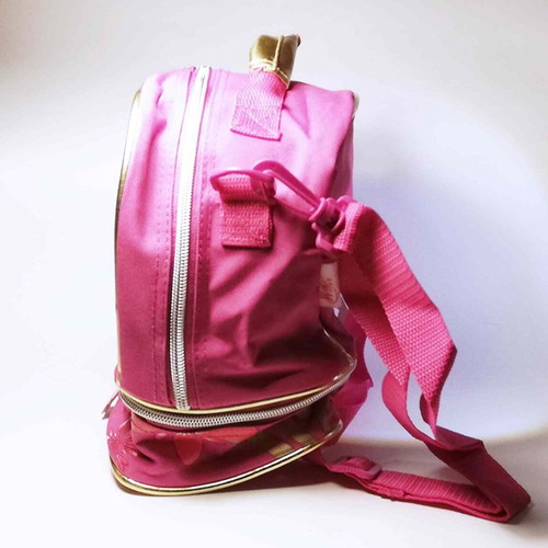 Winx Club Lunch Bag new with strap