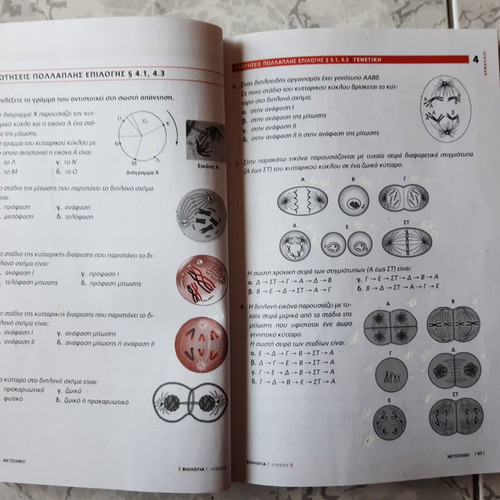 Biology Grade 3 High School used, Mitosis, Meiosis, Cell Division, Metaixmio