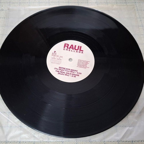 Raul Orellana The Real Wild House 12' vinyl used, electronic