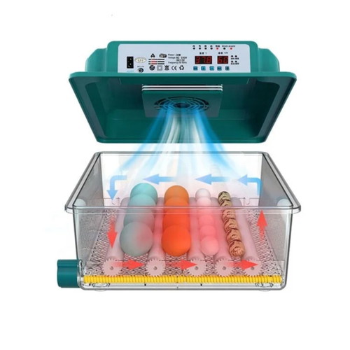 Automatic Egg Incubator with LCD Screen and Dual Power Supply