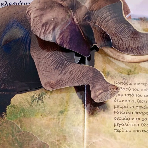 Sto Safari book used with 3D images and hardcover