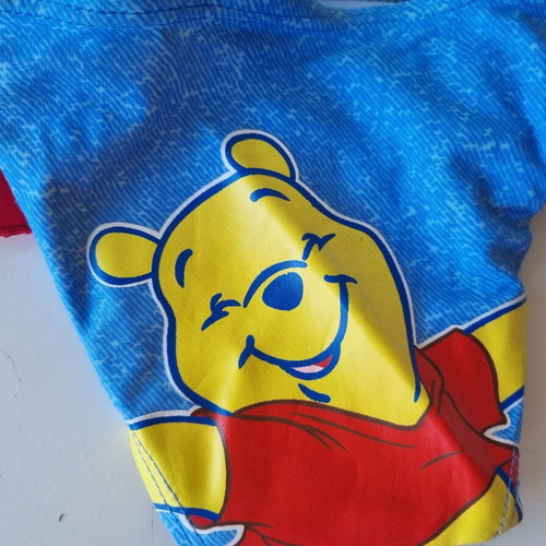 Stamion Disney Winnie the Pooh baby swim slip for 12M