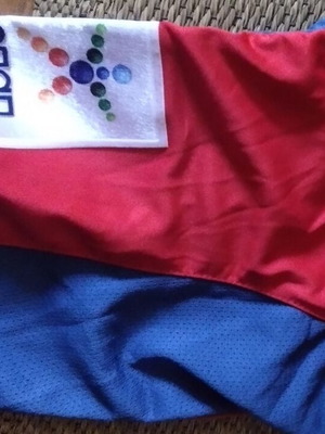 Panionios football jersey 2012, large