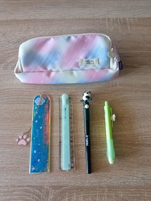 School stationery set with pastel pencil case and panda pen