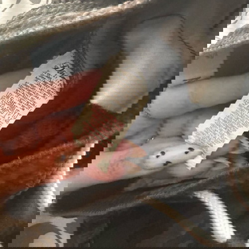 Σορτς παιδικό στρατιωτικό παραλλαγή 98 εκατοστά σαν καινούργιο