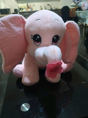 Elephant new