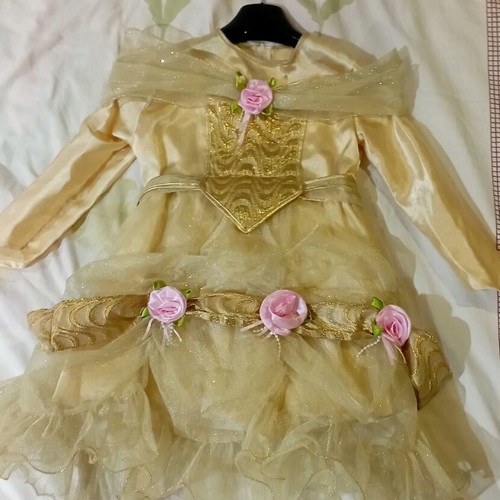 Golden princess carnival costume like new