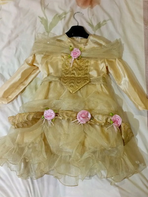 Golden princess carnival costume like new