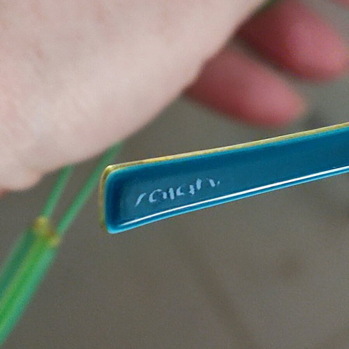 Presbyopia glasses like new