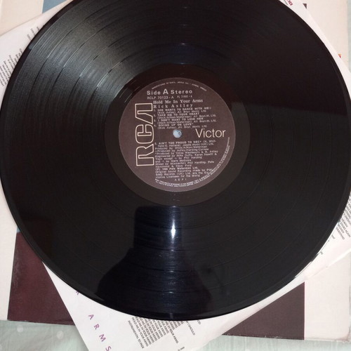Rick Astley Hold Me In Your Arms vinyl like new, pop