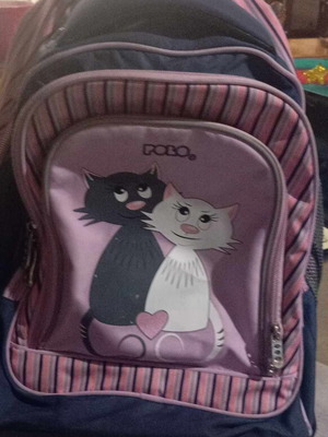 Polo school trolley bag used with 3 main and 2 side compartments