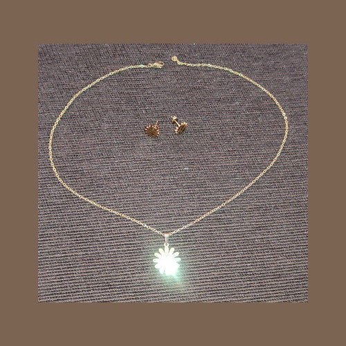 Daisy set made of gold-tone stainless steel new