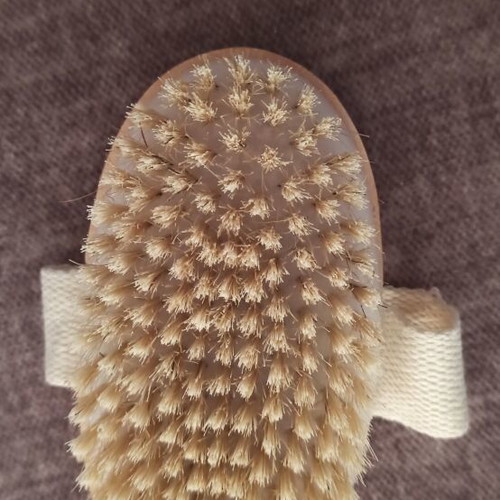 Wooden body brush new