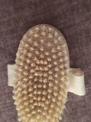 Wooden body brush new