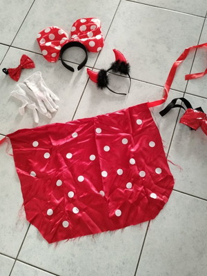 Carnival costume Diavolina used
