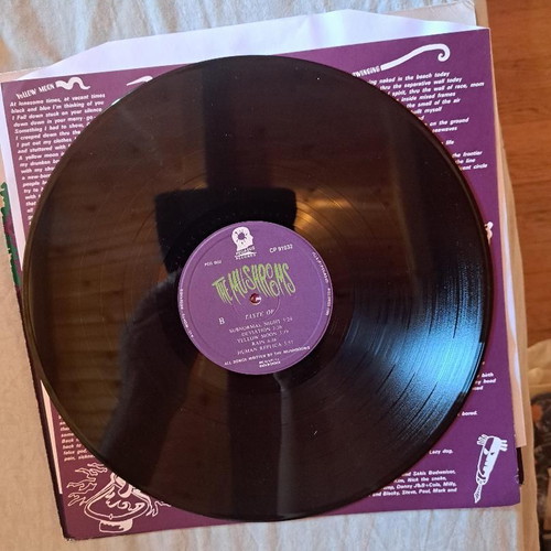 The Mushrooms Taste Of LP like new, rock 1986