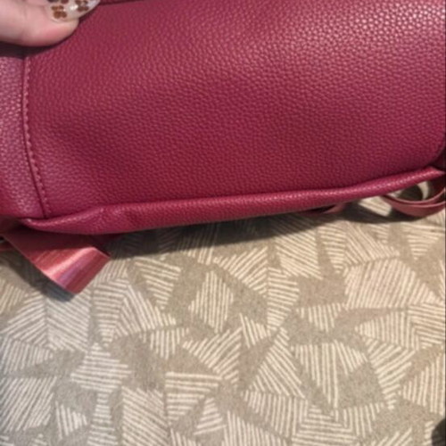 Bag to Bag backpack new