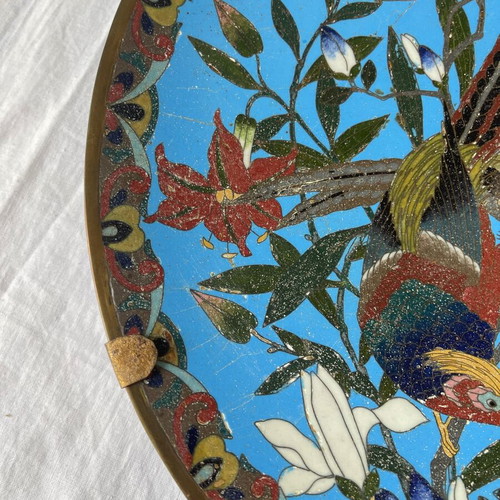 Japanese Meiji era cloisonné plate used, enamel on copper