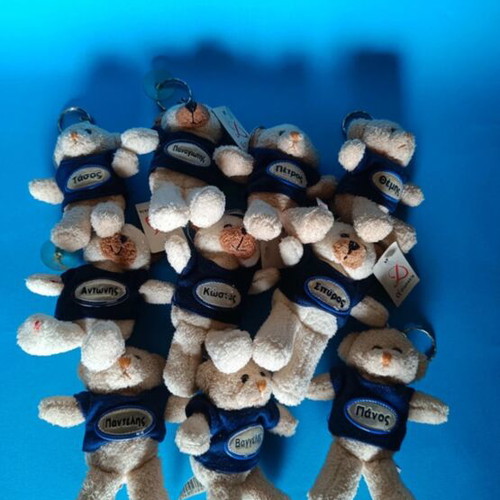 Teddy bear keychain new, beige and blue with names
