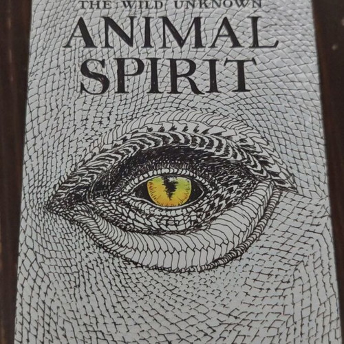 The Wild Unknown Animal Spirit σετ σαν καινούργιο