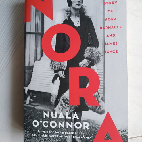 Book Nora by Nuala O'Connor like new, English