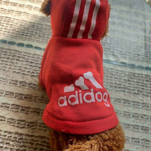 Adidog plush dog toy