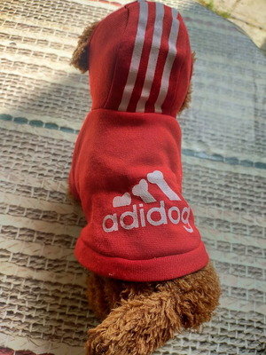 Adidog plush dog toy