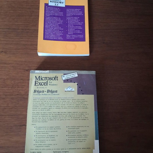 Computer books used, Windows 3.1 and Microsoft Excel 4 guides
