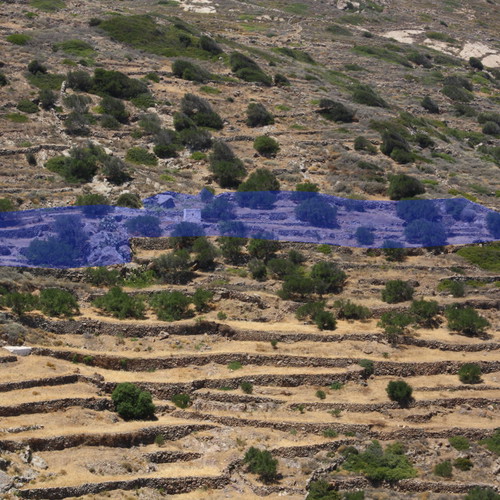 Agricultural land 2,370 m² with 21 olive trees, out of plan, mountain view in Elaionas