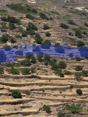 Agricultural land 2,370 m² with 21 olive trees, out of plan, mountain view in Elaionas