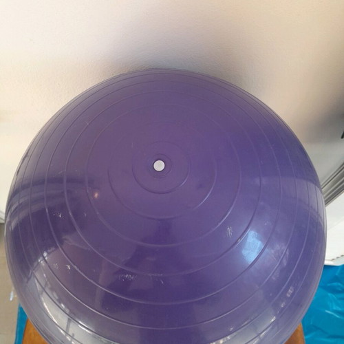 Live Up Gym Ball 65cm and Jump Rope 3m used