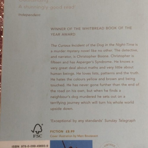The Curious Incident of the Dog in the Night-Time book like new, English