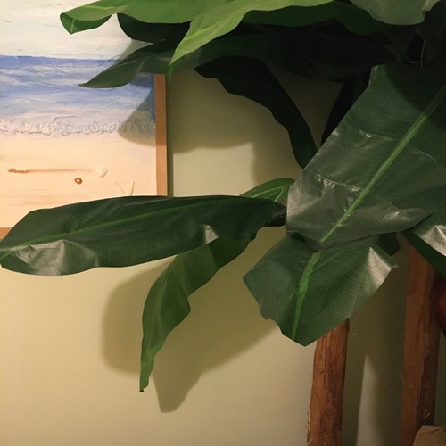 Artificial banana plant used, height 1.80 m
