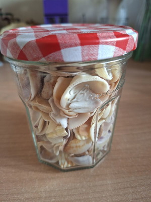 Vase with seashells new, decorative or craft use