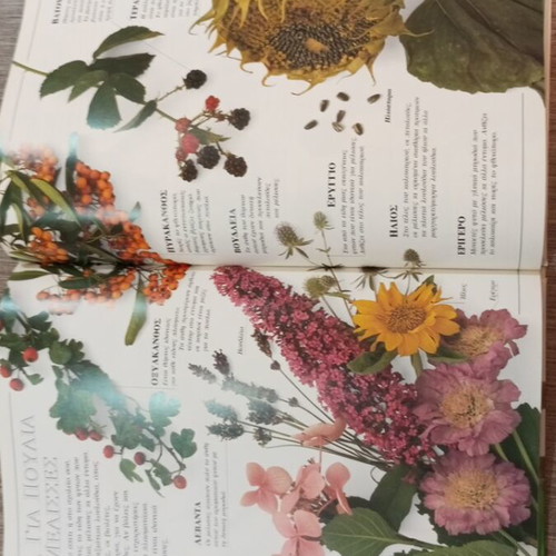 The First Ecology Book like new, children's guide to environment