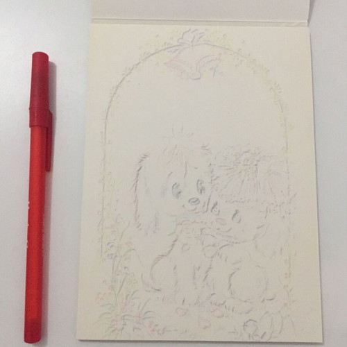 Correspondence pad new with many sheets