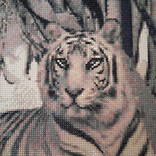 Diamond Art White Tiger on Snow Canvas