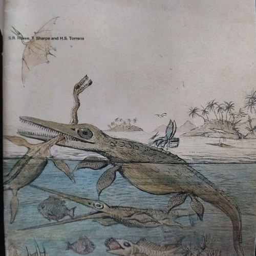 Ichthyosaurs book used, history of fossil sea-dragons