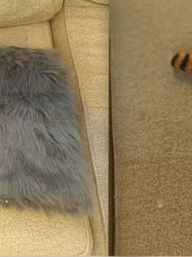 Therian cosplay cat accessories used, 2 pairs of gaiters and 3 tails