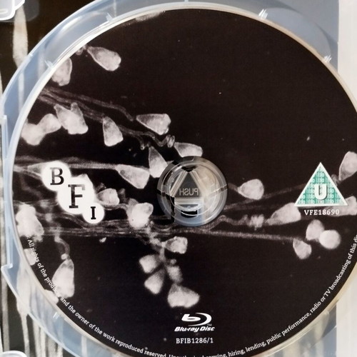 Minute Bodies Blu-Ray σαν καινούργιο με υπότιτλους