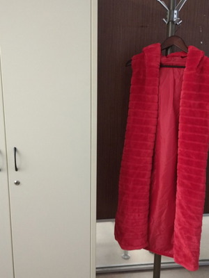 Velvet Long Red Vest like new with Hood