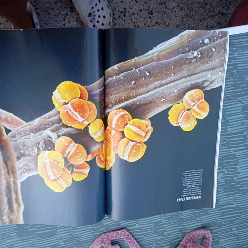 National Geographic magazine used, January 2020, future of medicine