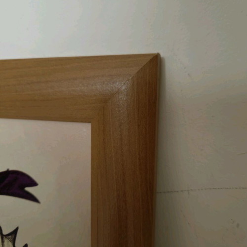 Donald Duck framed art print like new with wooden frame