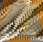  Δερμάτινο γυναικείο σακάκι Zeda Collection