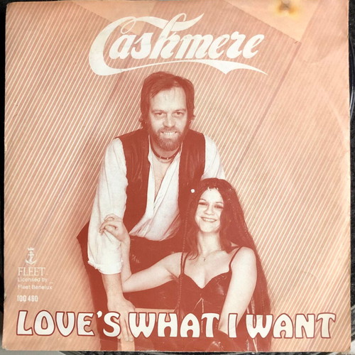 Cashmere Love's What I Want vinyl 7" single, like new, pop