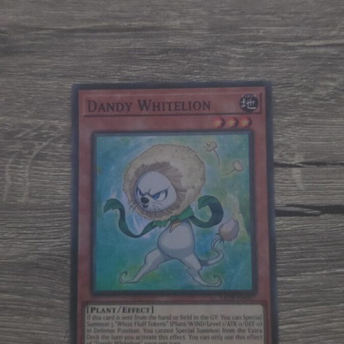 Dandy Whitelion Yu-Gi-Oh! card