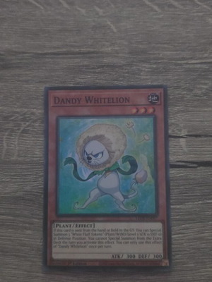 Dandy Whitelion Yu-Gi-Oh! card