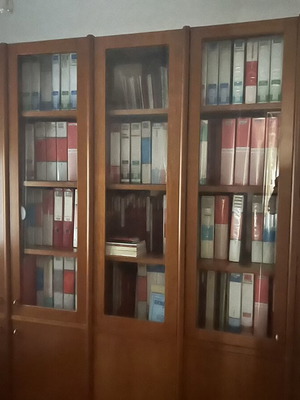 Solid wood bookcase